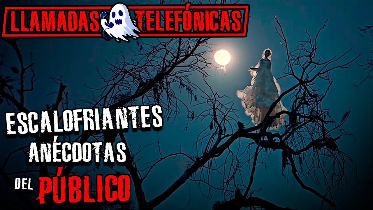 🔴RELATOS DE TERROR REALES | LLAMADAS TELEFÓNICAS DEL PÚBLICO | PODCAST DE TERROR | TRANSMISIÓN #238