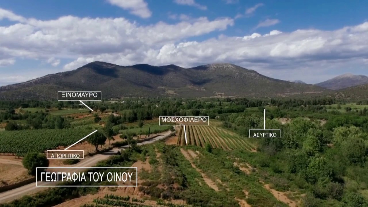 Κτήμα Τσέλεπου 