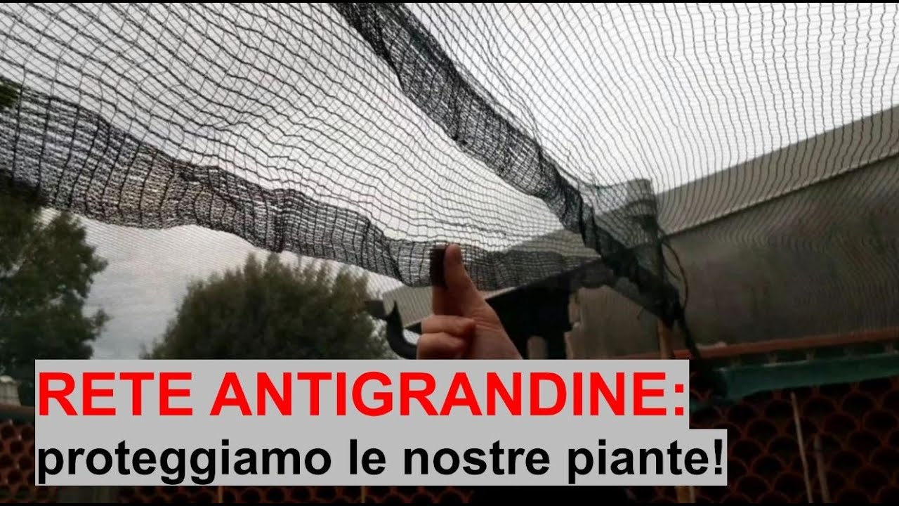 RETI ANTIGRANDINE: una piccola spesa per proteggere le nostre piante! - W&A Gardens: orto e giardino