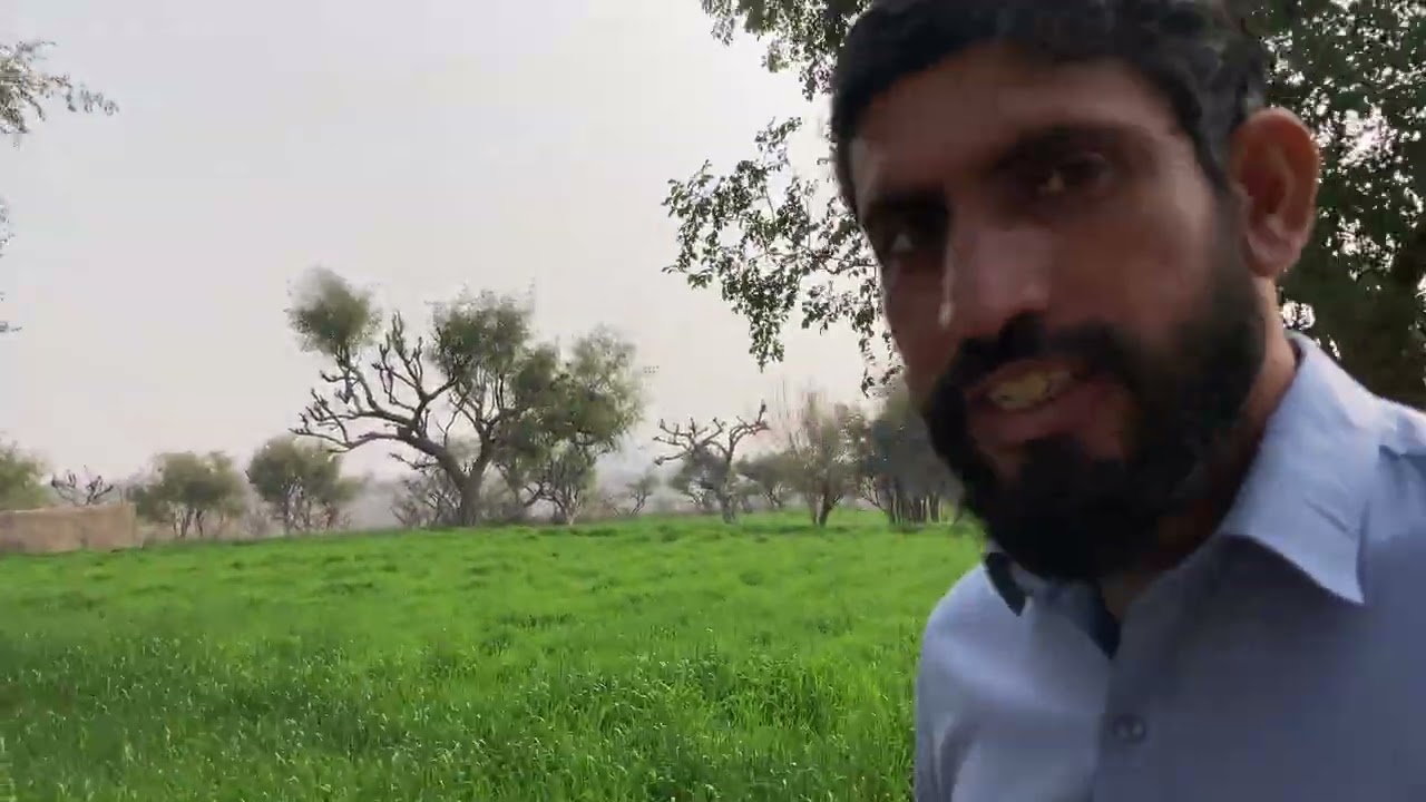 Wah kia bat hy || gandm ki fasl