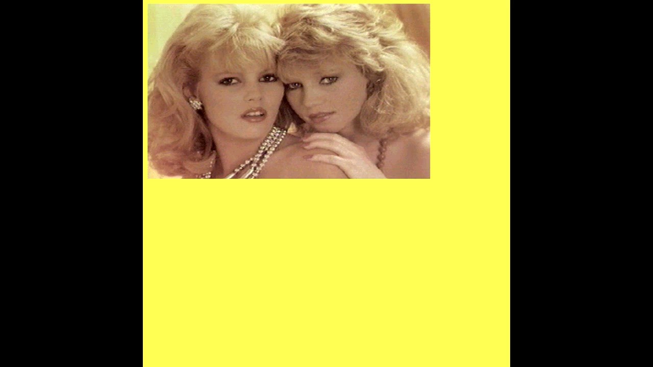 midnight paradigma - .GIF (2026)