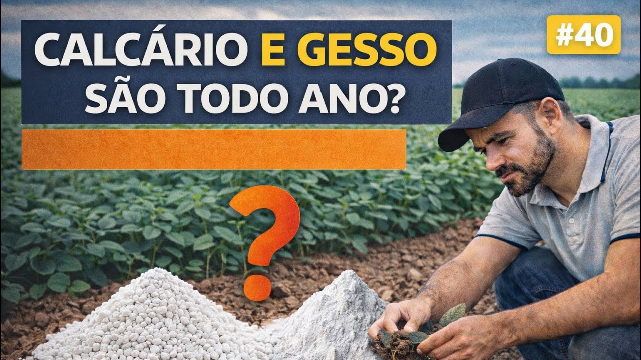 CALCÁRIO E GESSO ? #40#