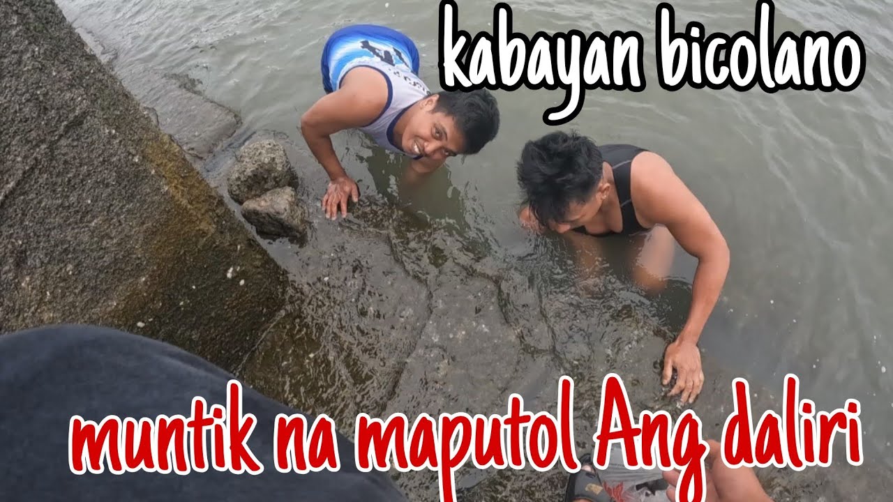 Mga kabayan na bicolano napasigaw sa subrang sakit Ng kagat Ng malaking alimango