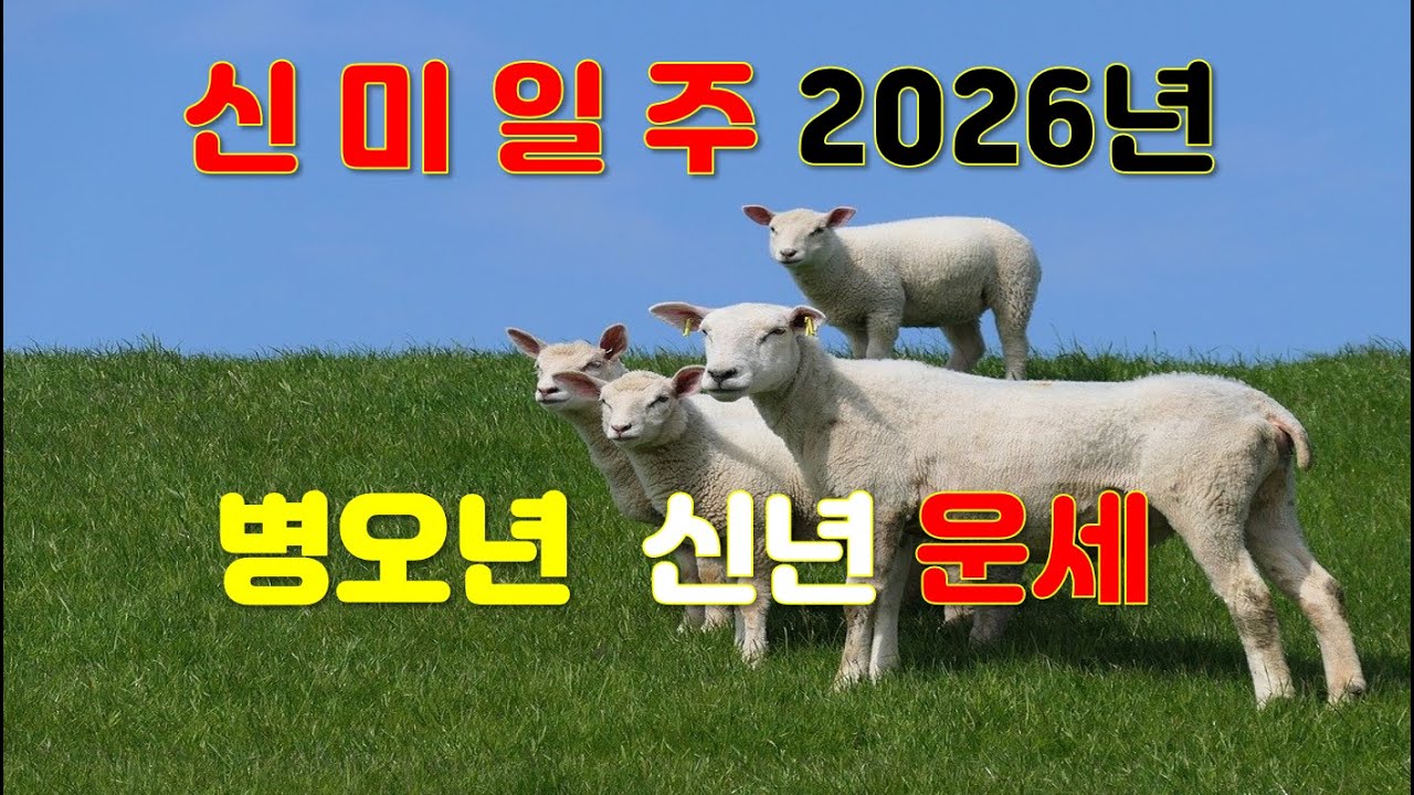 신미일주, 2026년 병오년 신년운세 사주분석