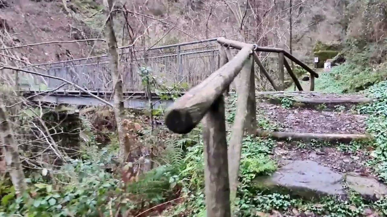 i segreti di calcaferro