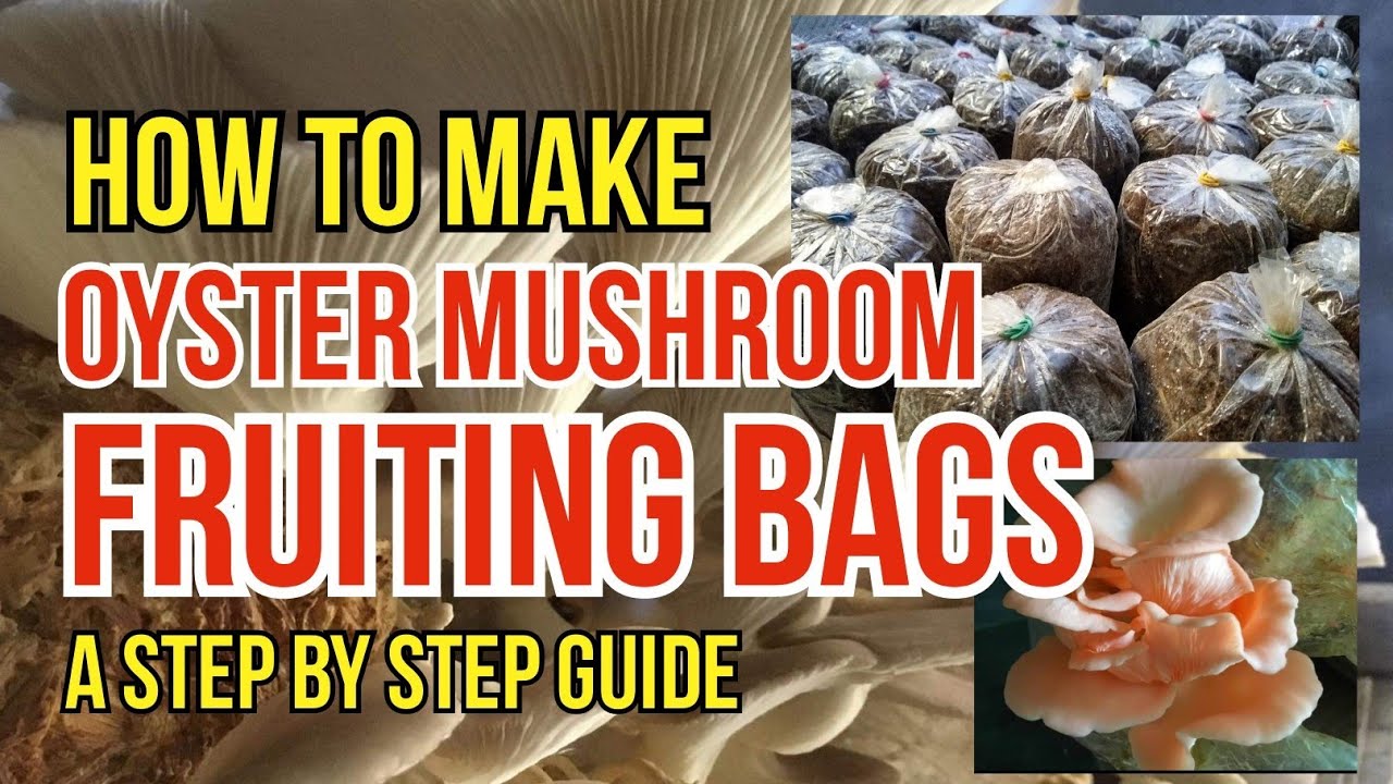 How to Make Oyster Mushroom Fruiting Bags | Paano gumawa ng mushroom fruiting bags| #organicmushroom