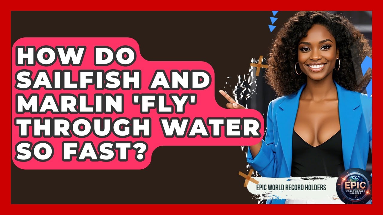 How Do Sailfish And Marlin 'fly' Through Water So Fast? - Epic World Record Holders