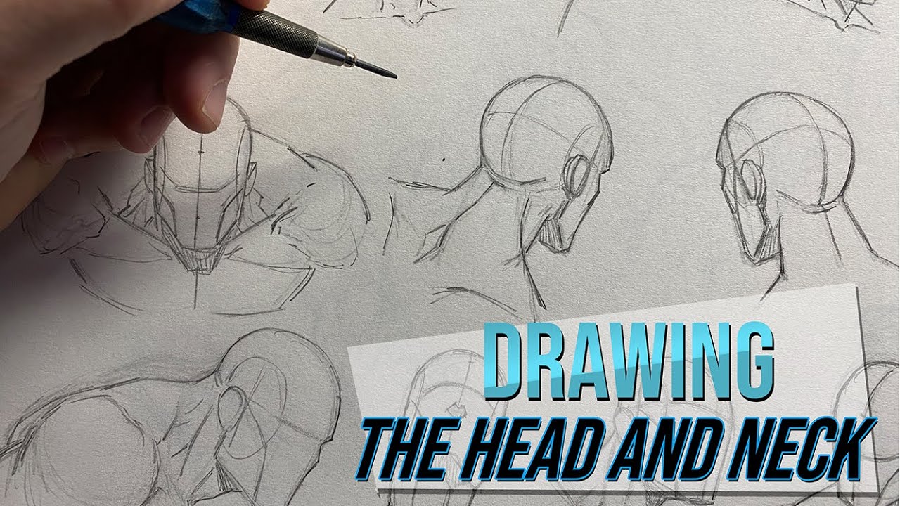 How to Draw the Head and Neck in Various Poses