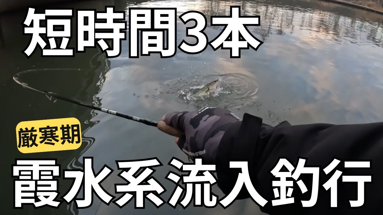 【霞ヶ浦　バス釣り】高確率で魚が寄る場所はここ以外考えられない