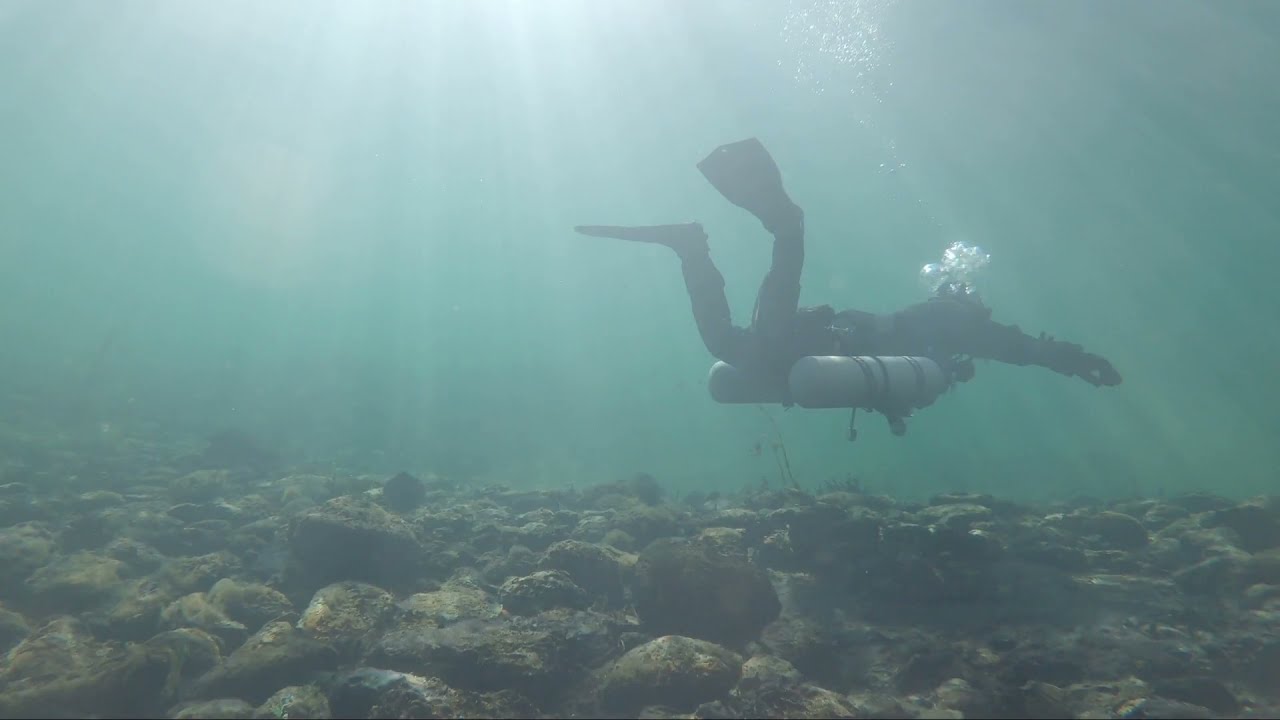 Diving at Alte Zollbrücke Rheinau 31.12.2021