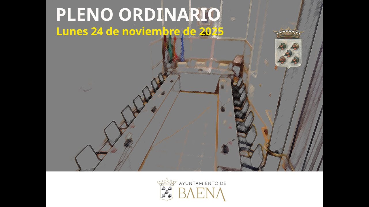 Pleno Ordinario 24/11/2025