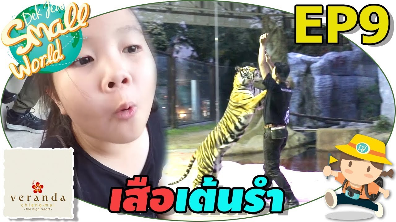 เด็กจิ๋ว | เสือเต้นรำ เชียงใหม่ไนท์ซาฟารี (วีรันดาเชียงใหม่ Ep9)