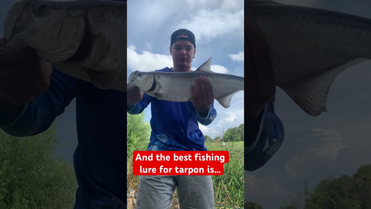 The BEST TARPON LURE