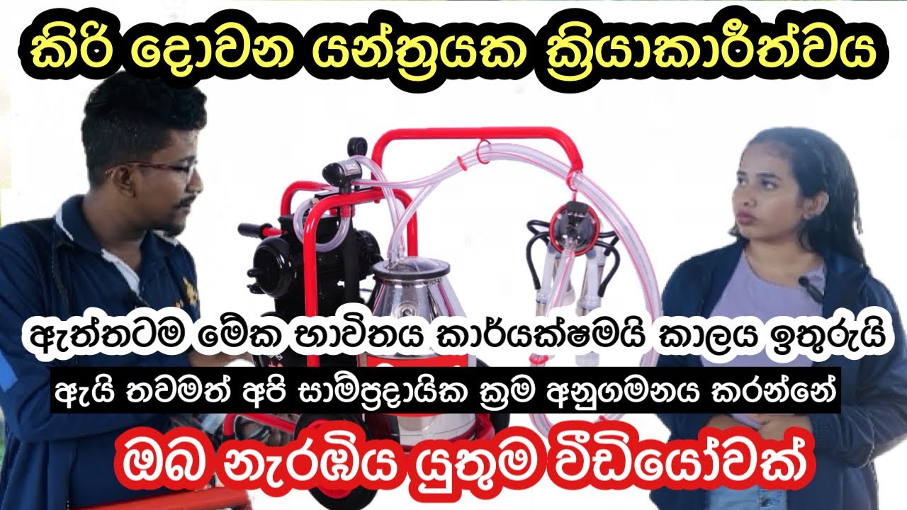 ස්වයංක්‍රීය කිරි දොවන යන්ත්‍රයක නඩත්තුව සහ ක්‍රියාකාරීත්වය /Portable Milking Machine 🐄🥛#dairy #agro