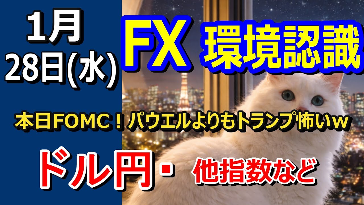 【TAKA FX】本日FOMC！パウエルよりもトランプ怖いｗ　ドル円、他各通貨の環境認識解説　1月28日(水)