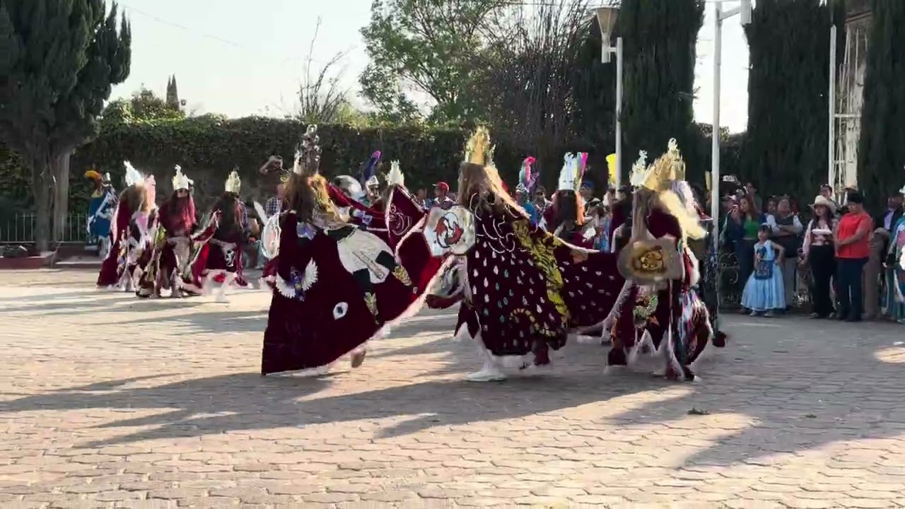 12 pares de Francia de San Mateo Tepopula en la Parroquia de Santiago Tepopula, Carnaval 2026