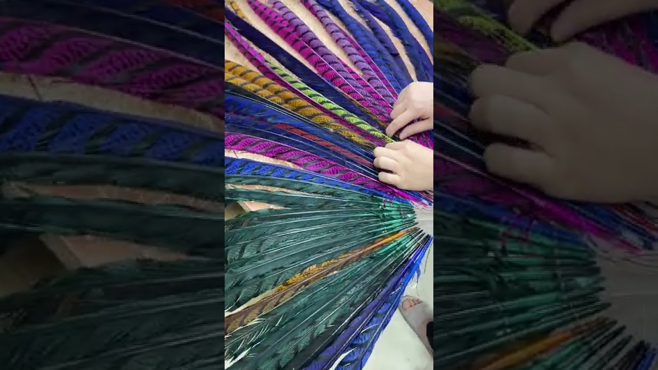 Pheasant Feather Fan Gap Solution