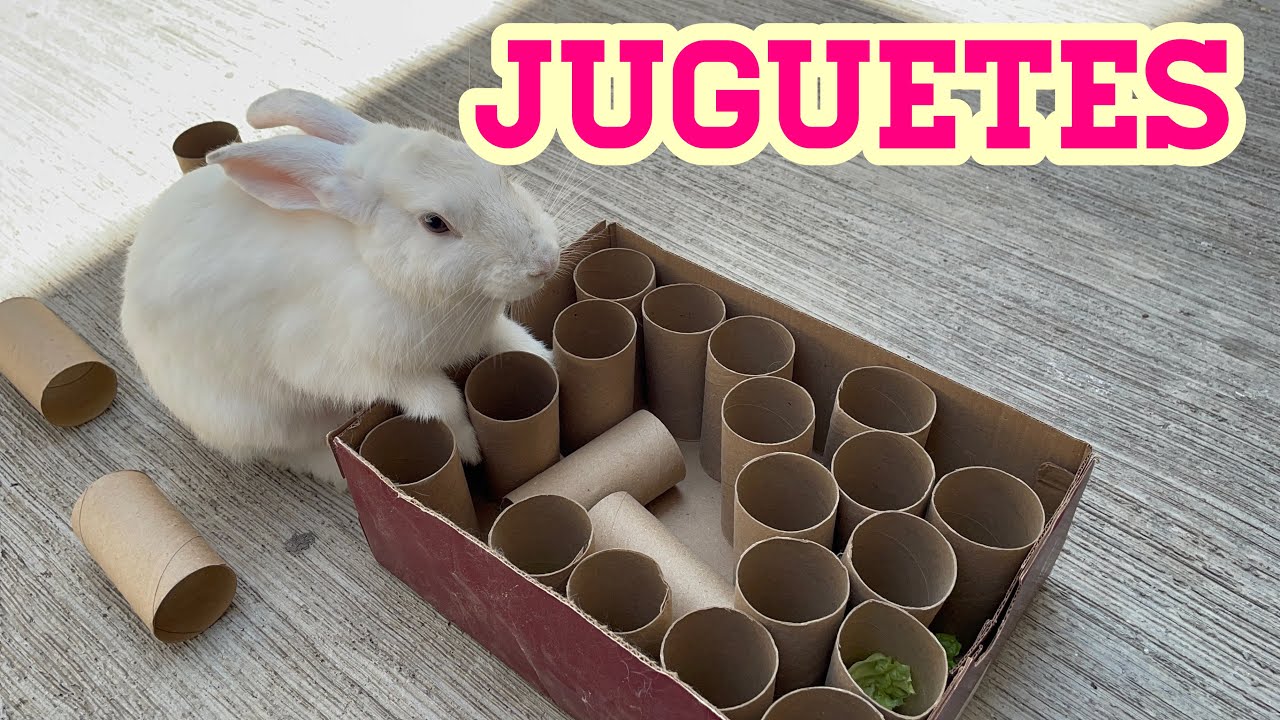 JUGUETES para conejos/ Con materiales reciclados