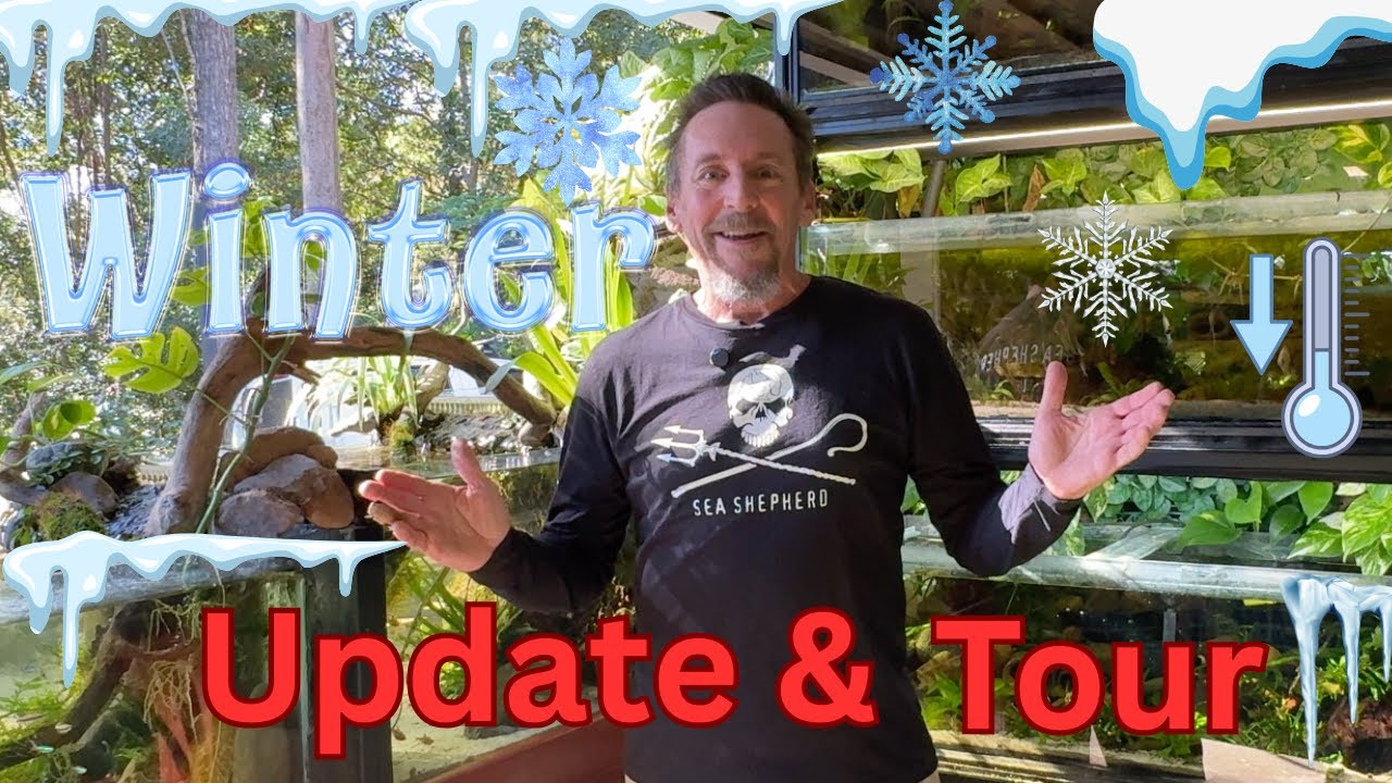 Full Winter Tour & Update of my Fishroom, my ponds and much much more...