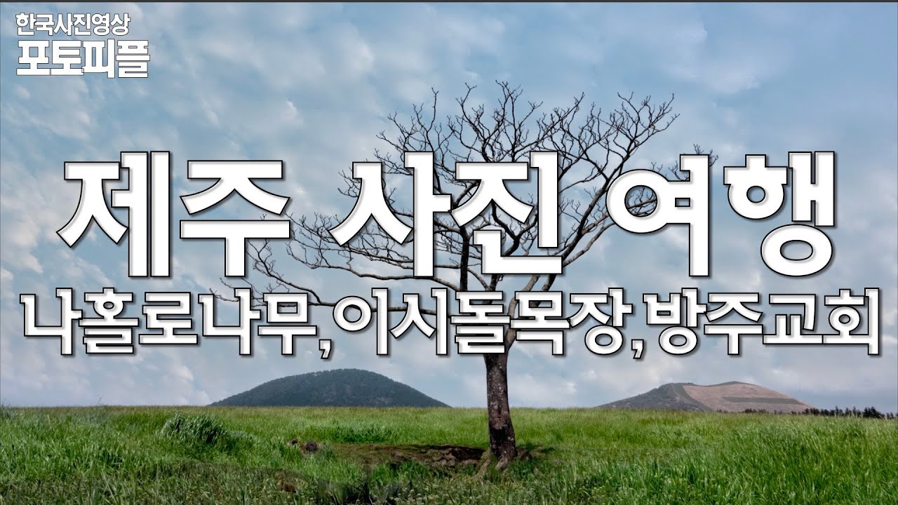 한사영TV_사진출사_제주도_나홀로나무_이시돌목장_방주교회_촬영하기