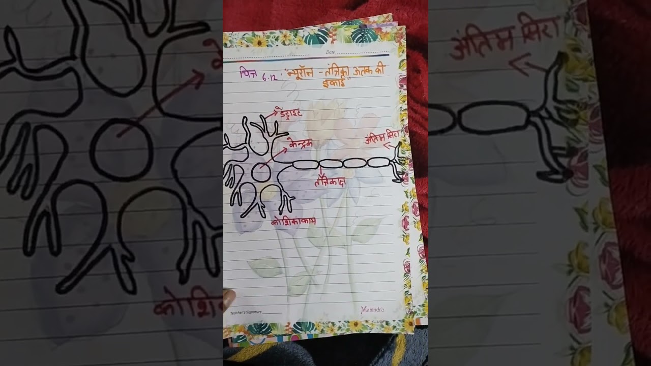 class 9 science project file hindi medium/ cbse