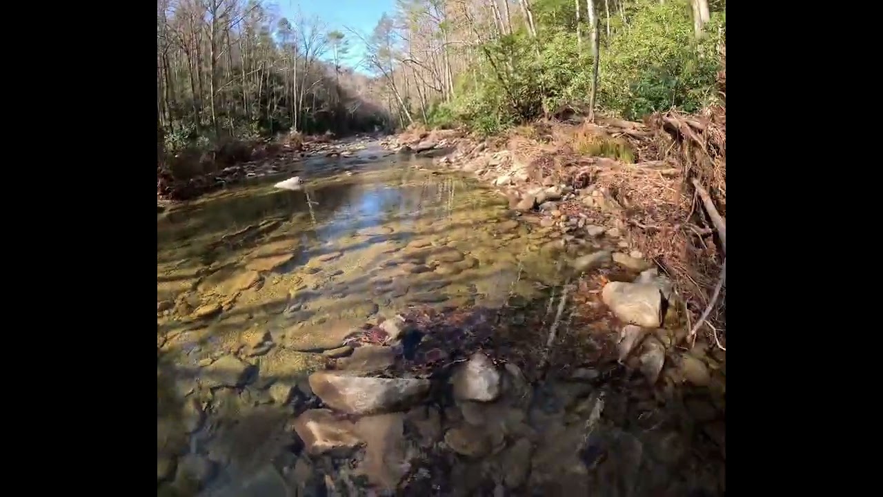 Trail damage on Lost cove trail. 
