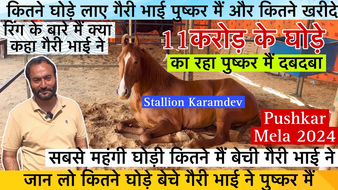 11करोड़ के घोड़े का रहा पुष्कर मैं दबदबा कितने घोड़े बेचे और खरीदे गैरी भाई ने ! #PushkarMela2024
