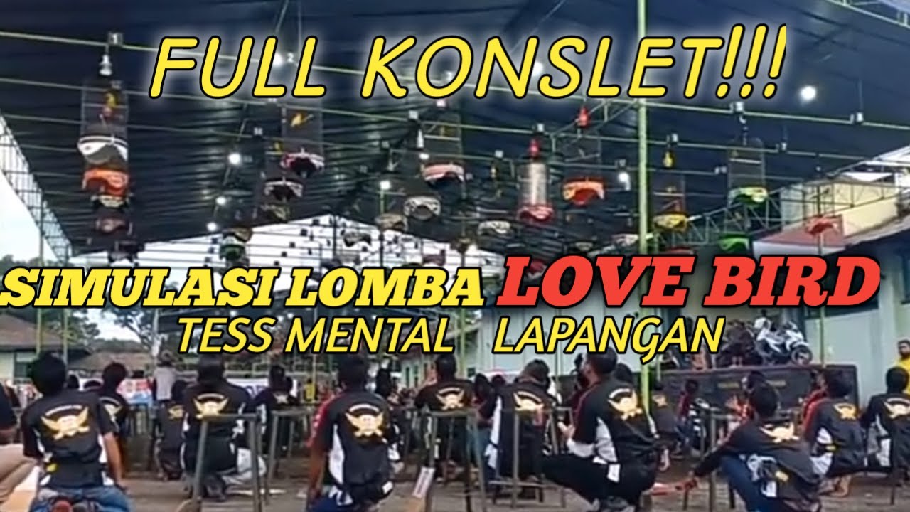 FULL KONSLET:Audio simulasi lomba love bird  konslet,melatih mental labet di lapangan dan dirumah
