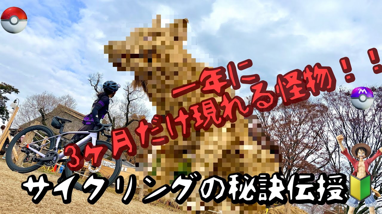 もうすぐ終わり！「怪物現る。」筑前町の巨大藁かかしアートをロードバイクで | 福岡のお勧めサイクリングロード⭐︎サイクリングの楽しみ方🔰黄金ルートを発見せよ！ | かばぶどうサイクル第一章完結 |