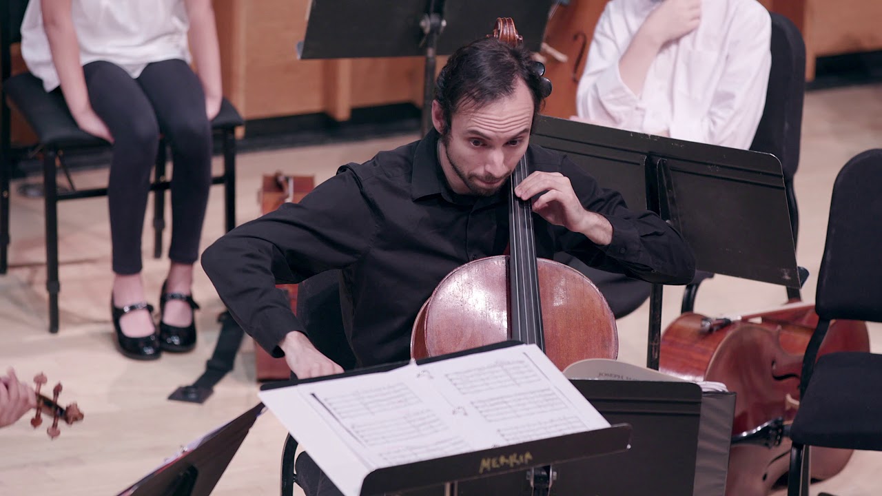 Haydn - String Quartet in E-flat, Op. 33, No. 2 “The Joke” Finale