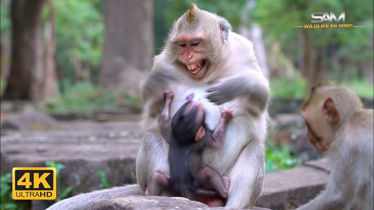 BUTTON Teaches Her little Baby To Be Independent Early On
