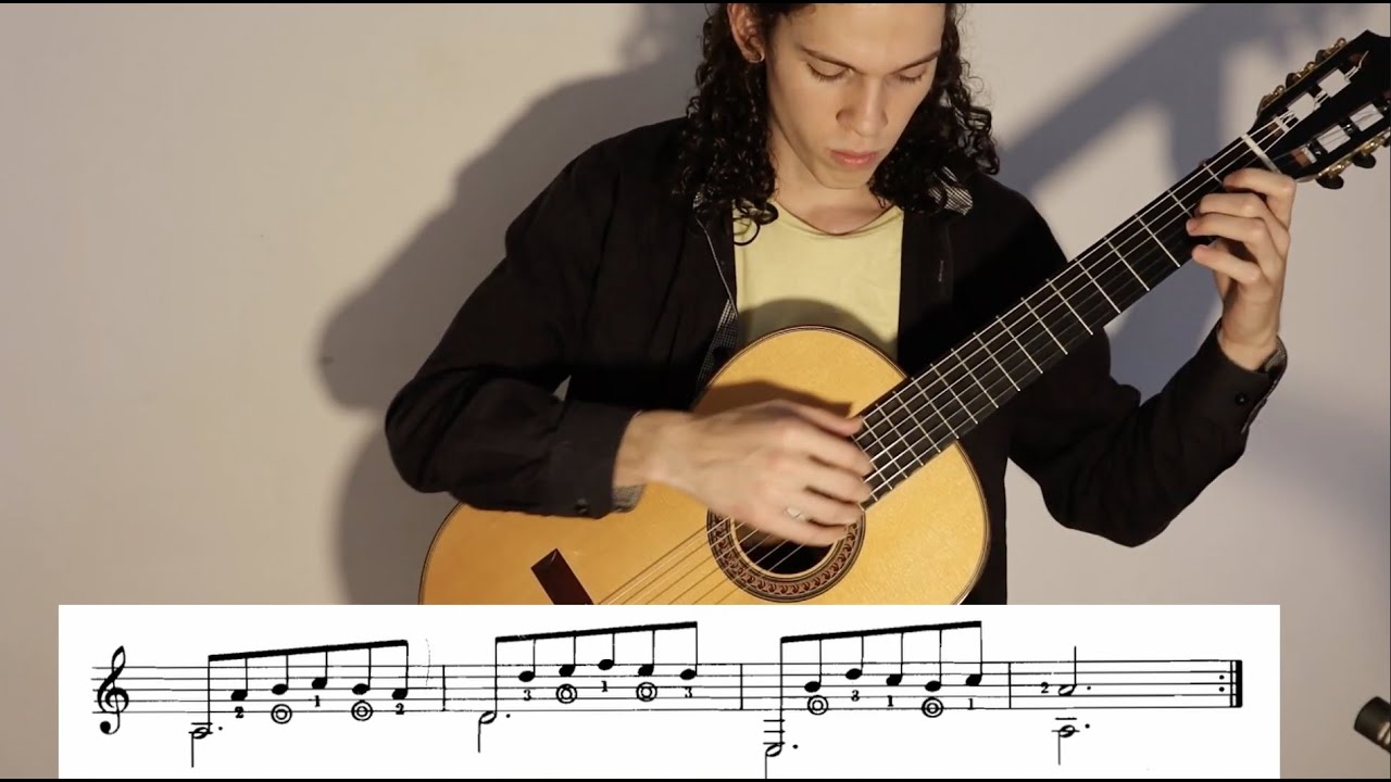 Andante - Henrique Pinto