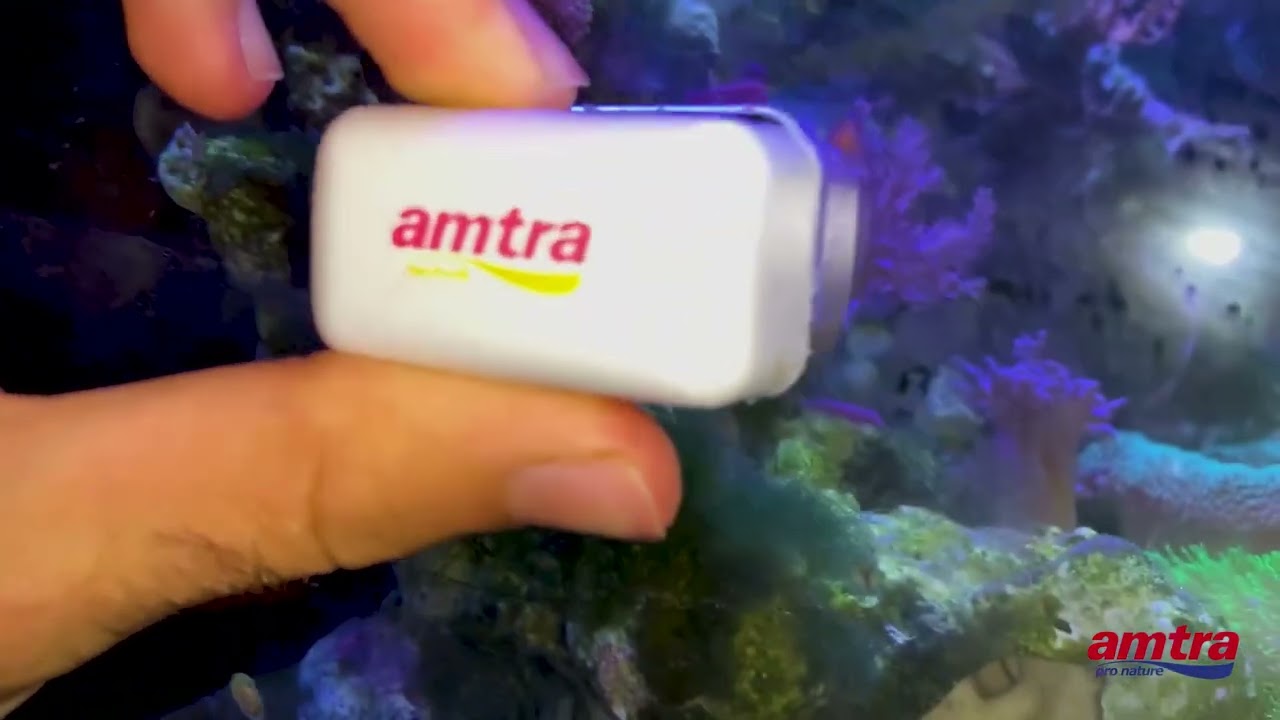Amtra   Magnet Mini   Aquarium Cleaning
