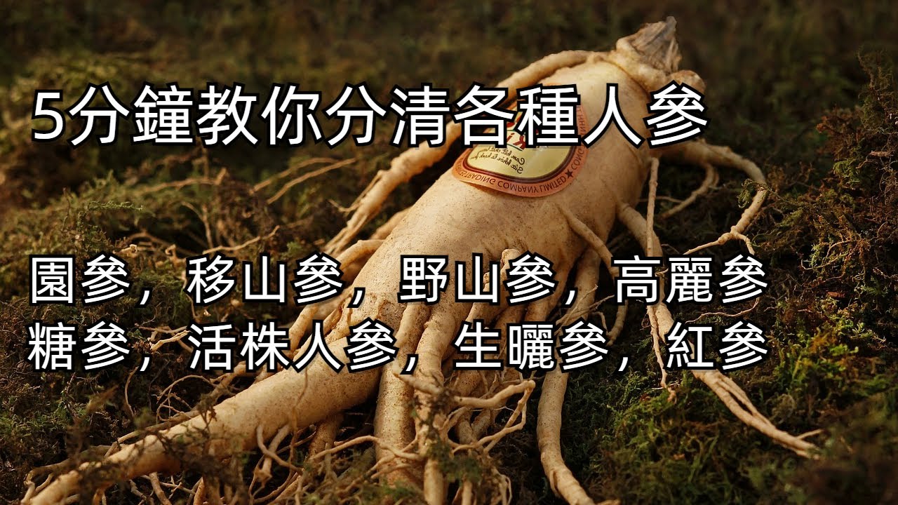 5分鐘教你分清各種人參：園參，移山參，野山參，高麗參，糖參，活株人參，生曬參，紅參   #人參的功效   #紅參  #移山參   #高麗參 #野山參 #園參 # 花旗參 #美白 #養生 #保健品