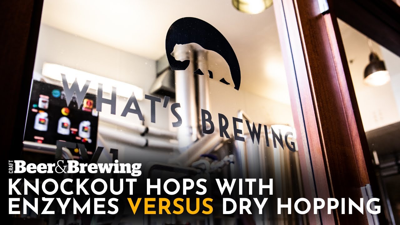 Knockout Hops with Enzymes Versus Dry Hopping