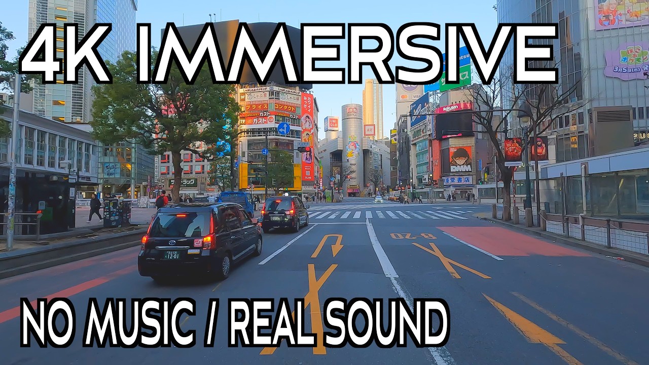 Shibuya to Ginza & Tokyo Bay Drive | 4K Immersive Journey with MKE 200 Sound