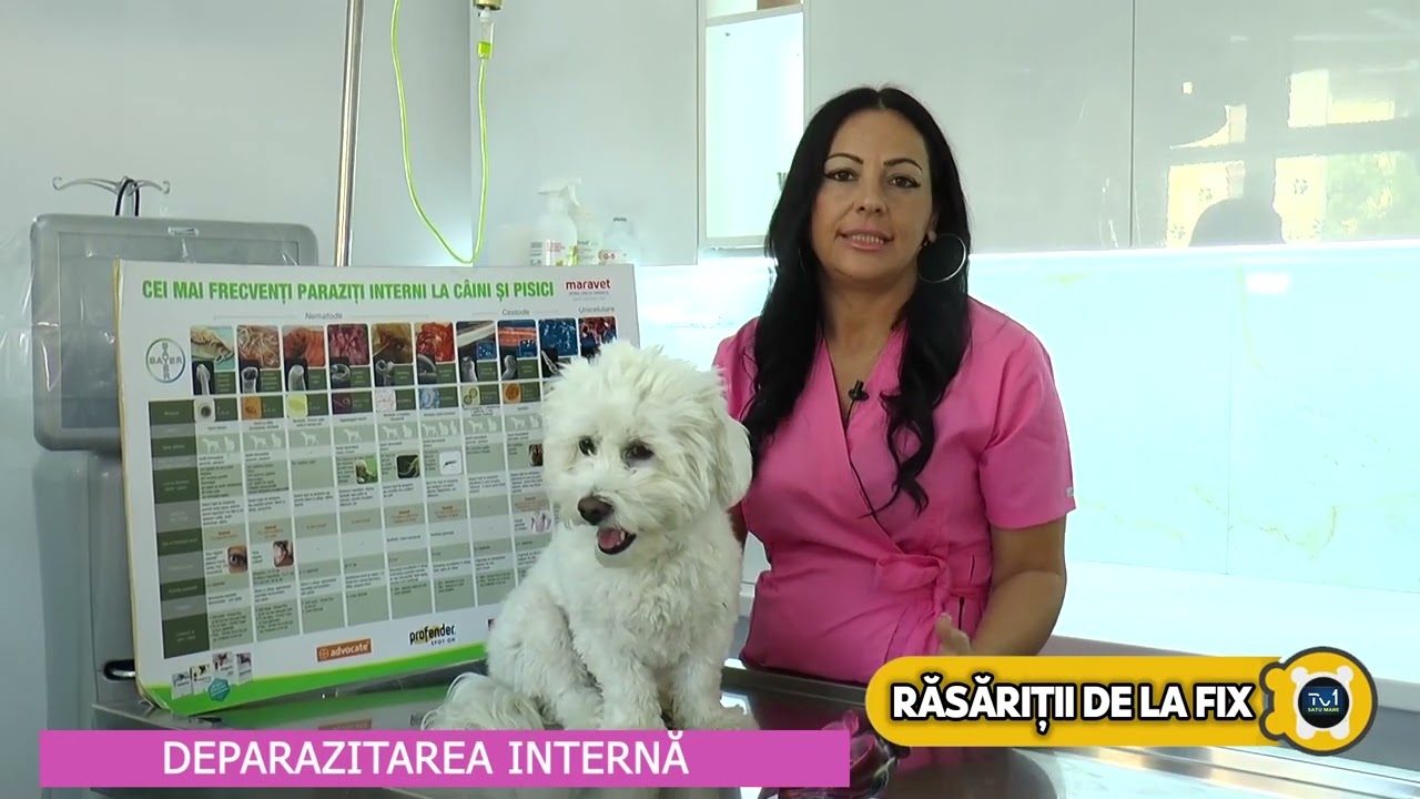 Deparazitarea interna la animale -cu Dr Elena Bonea(EPISODUL2), medic veterinar Mobovet,