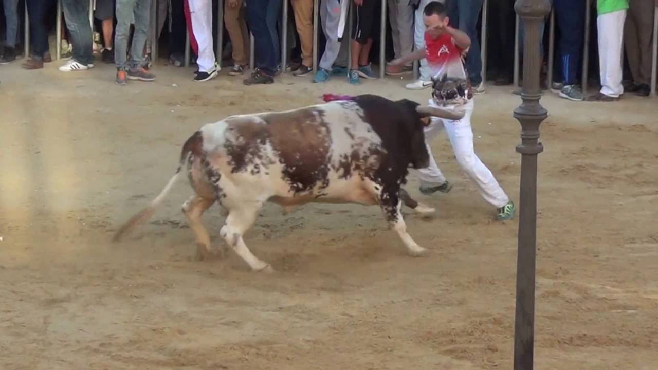 Semana taurina de Ll&iacute;ria 9/10/2015 PARTE 1