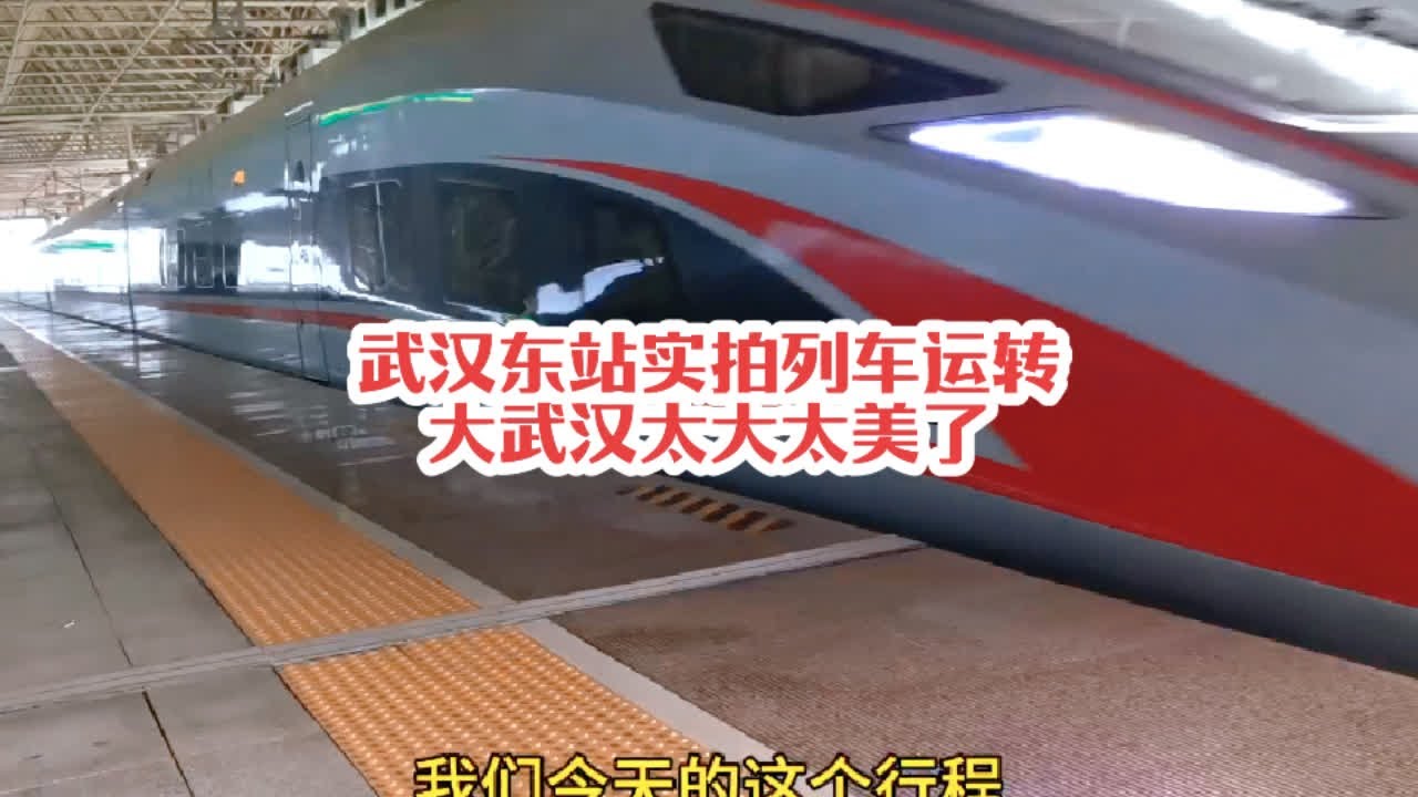 #火车迷爱好者 武汉东站实拍列车运转，大武汉太大太美了#铁路摄影 #沿途随拍 #记录行程 #高铁🚅