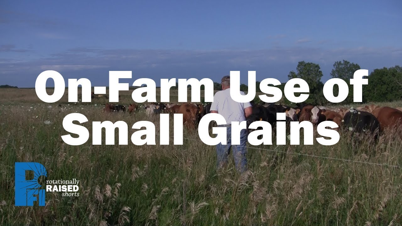 On-Farm Use of Small Grains