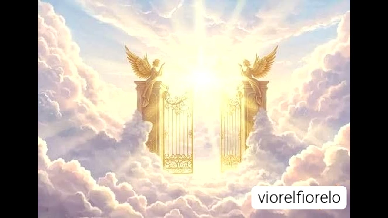Pe aripi mă poartă Iubirea (@viorelfiorelo1031)