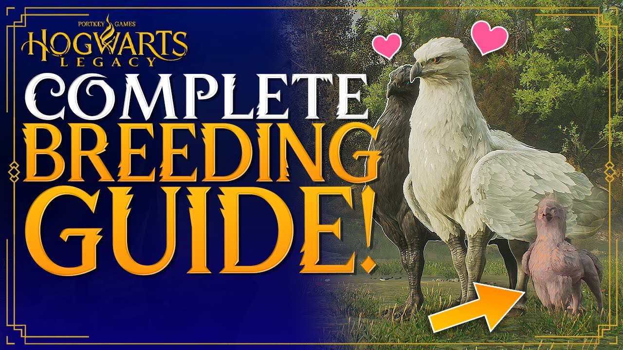 Hogwarts Legacy Complete Breeding Guide - How To Breed Beasts  / Tames - How To Unlock Breeding