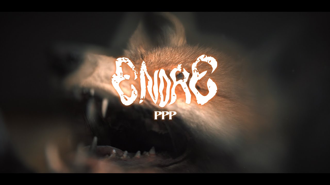 Endre - PPP