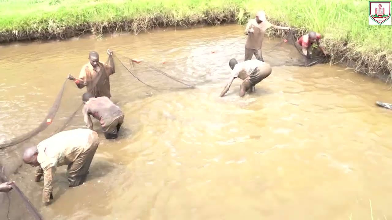 Projet de promotion de la pisciculture au Burundi