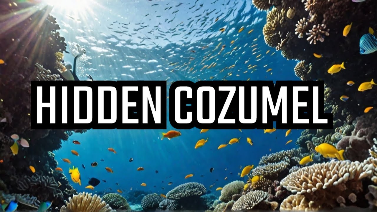 Discover Santa Rosa Wall Cozumel's HIDDEN Underwater World!