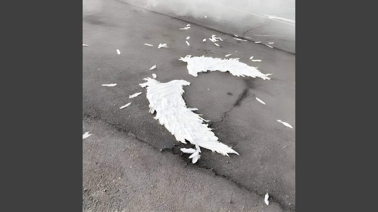 Biscotti in the Air (Extended Version)