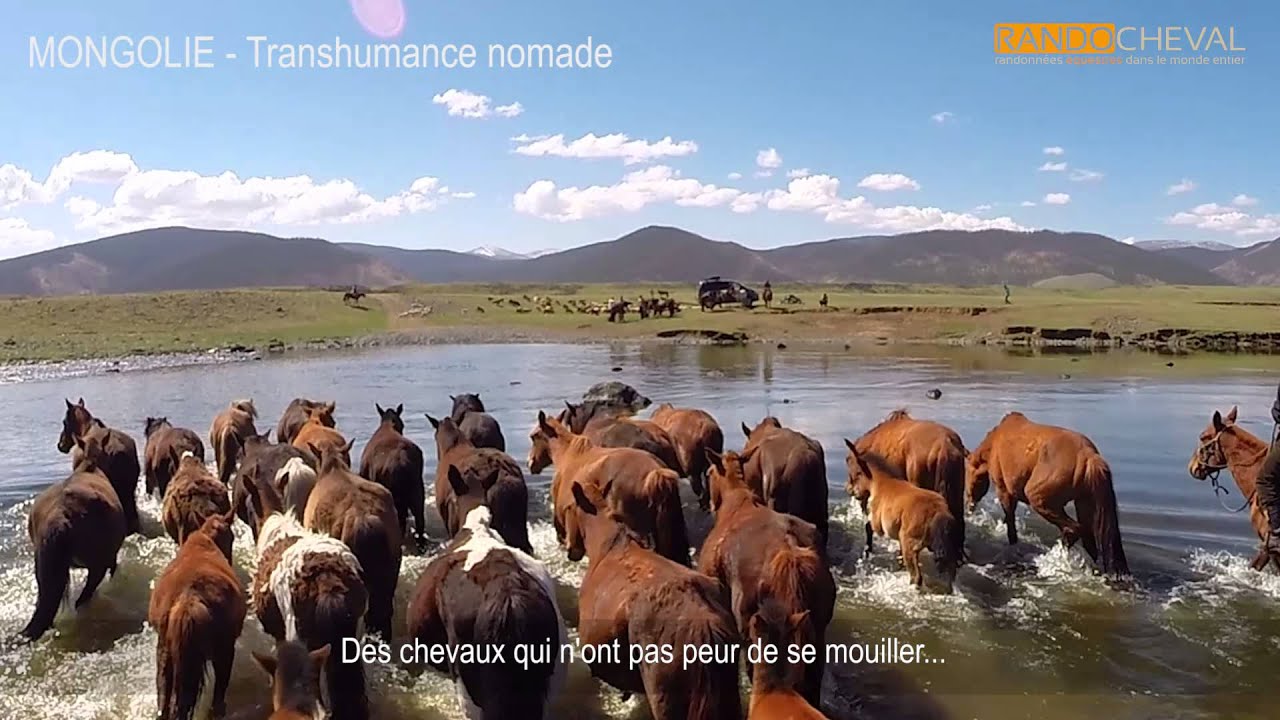 RANDO CHEVAL MONGOLIE - Transhumance Nomade - Par Randocheval (version courte)