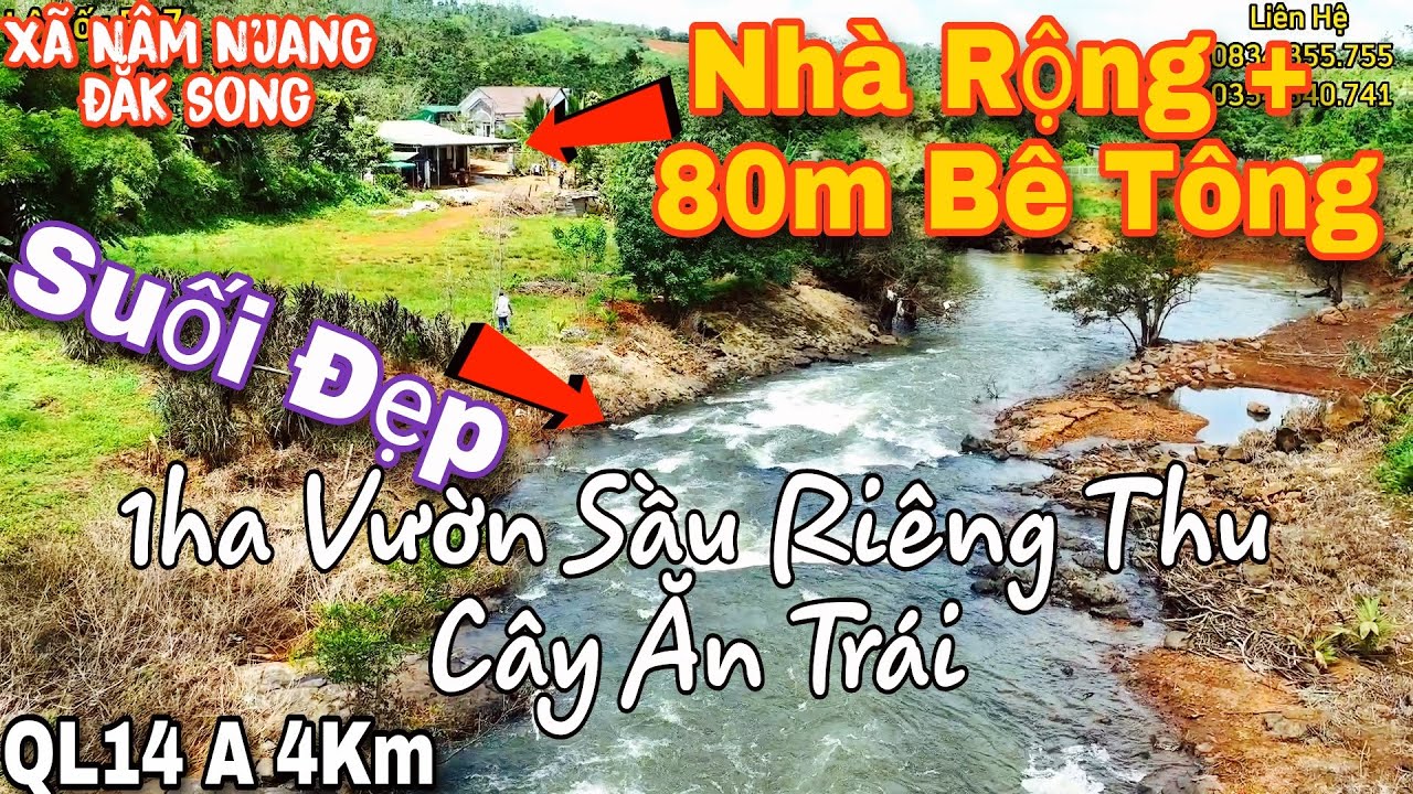 1ha Sầu Riêng Lớn + NHÀ RỘNG + 80m Bê Tông.VIEW SUỐI ĐẸP Tại xã Nâm Njang Đắk Song Đắk Nông