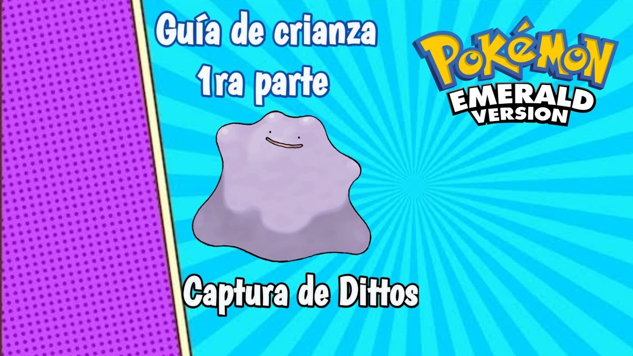 Guía de crianza en Pokémon esmeralda parte 1, Captura de Dittos.