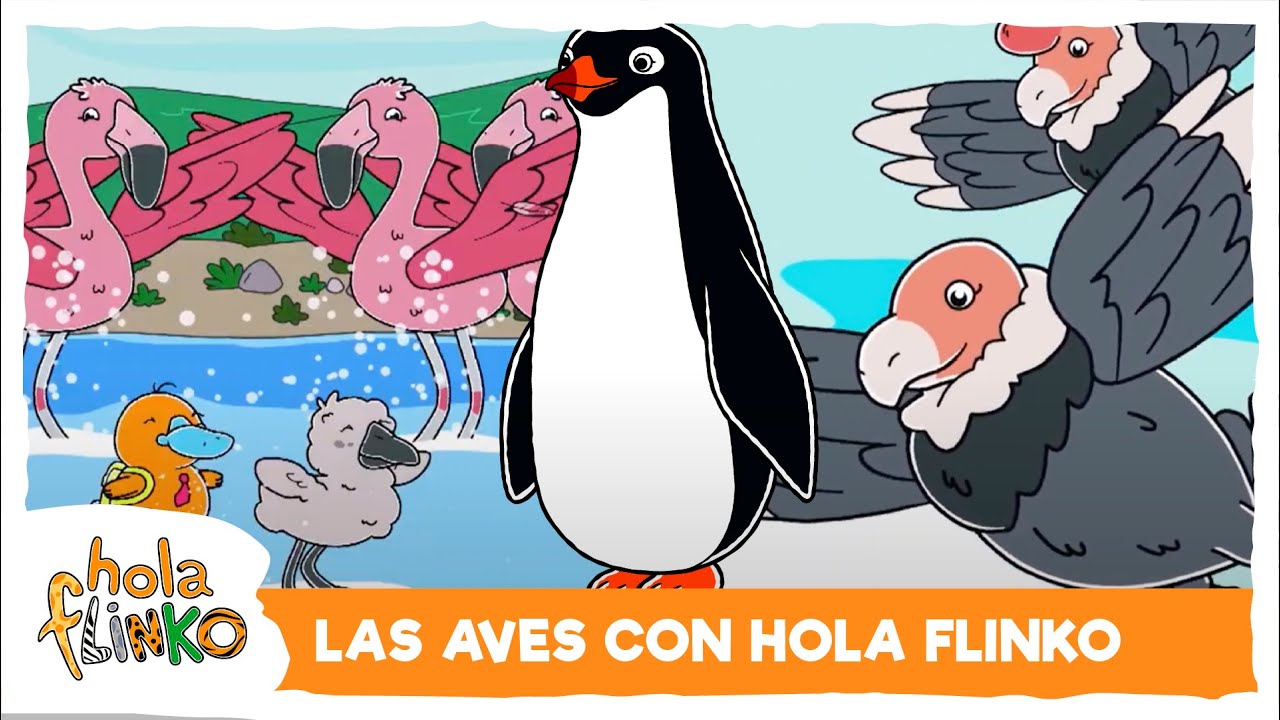 HOLA FLINKO ESPECIAL AVES DE SUDAMÉRICA CÓNDOR / PINGUINOS DE ADELIA / FLAMENCO AUSTRAL
